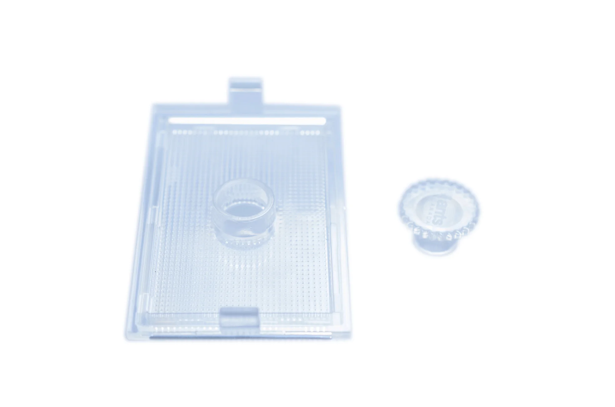 AC Enthusiast Gear Pack™ - Image 18