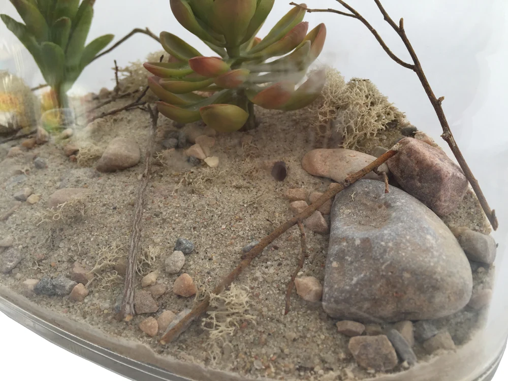 Desert & Oasis Biome Kit™ - Image 4