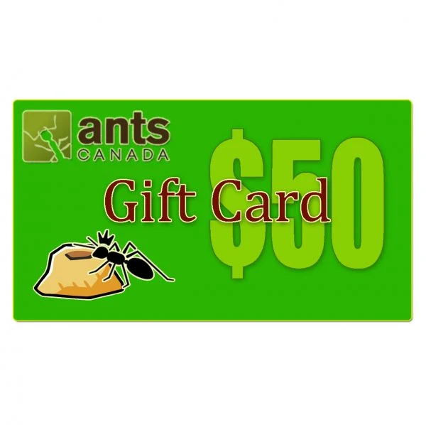 E-Gift Card ($100.00) - Image 3