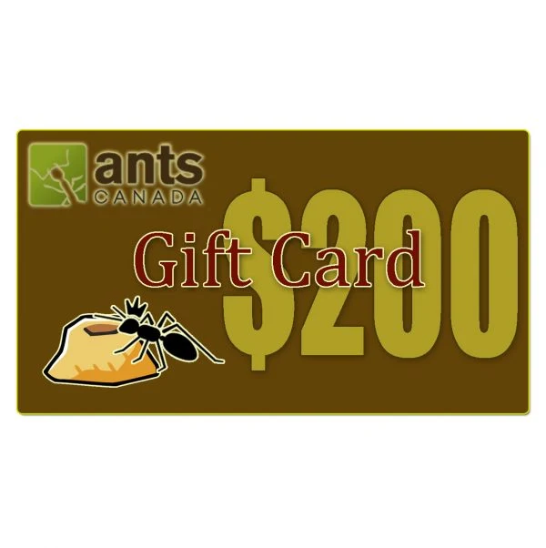E-Gift Card ($100.00) - Image 4
