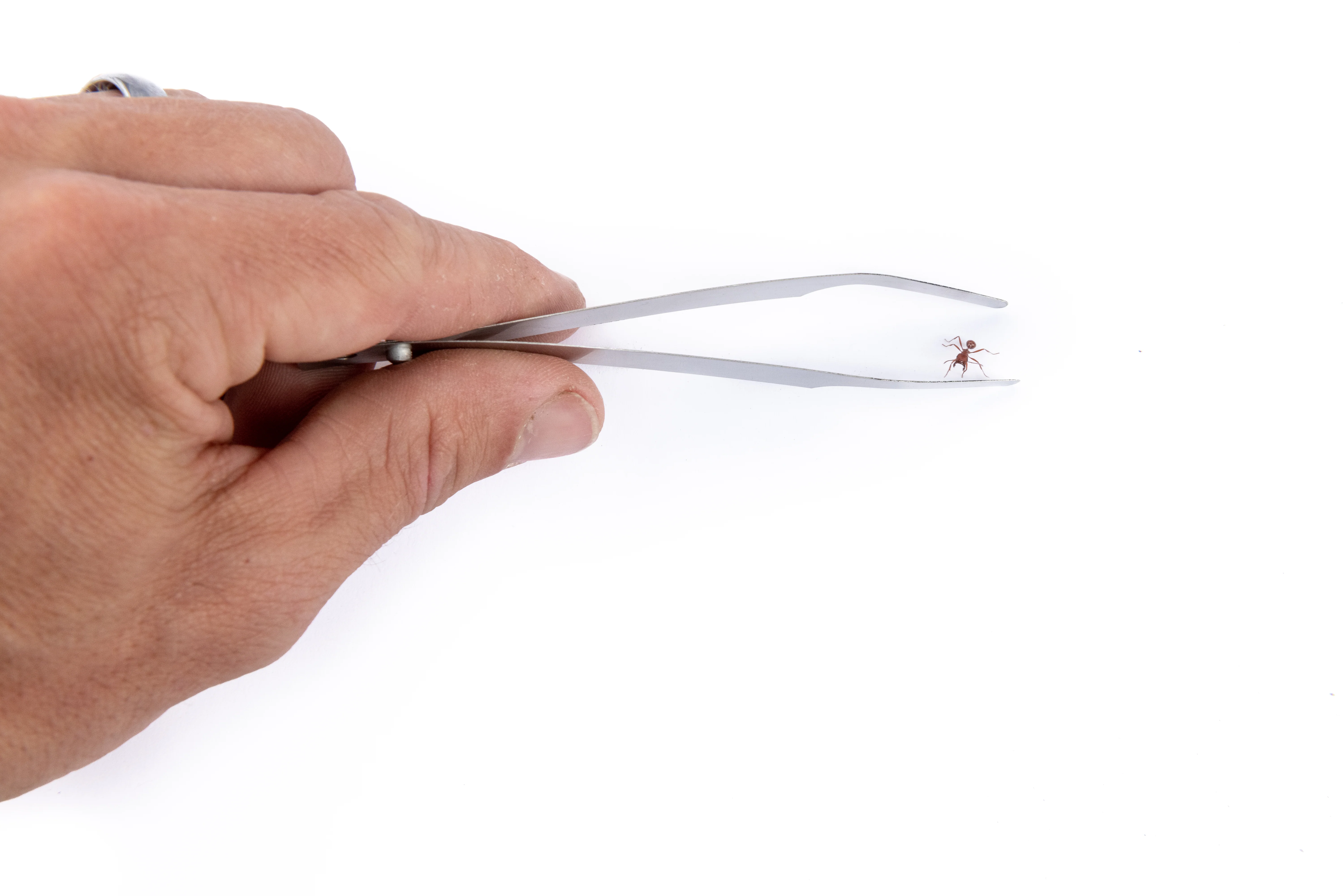 Featherweight Tweezers - Short Tip - Image 3