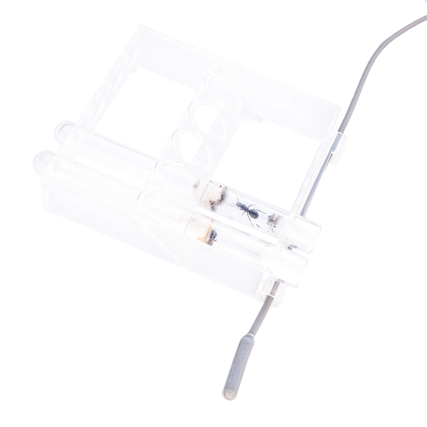 Heat Cable 15 watt - Image 3