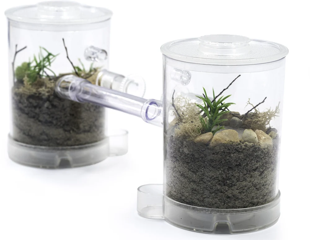 Ant Tower™ Small - Image 11