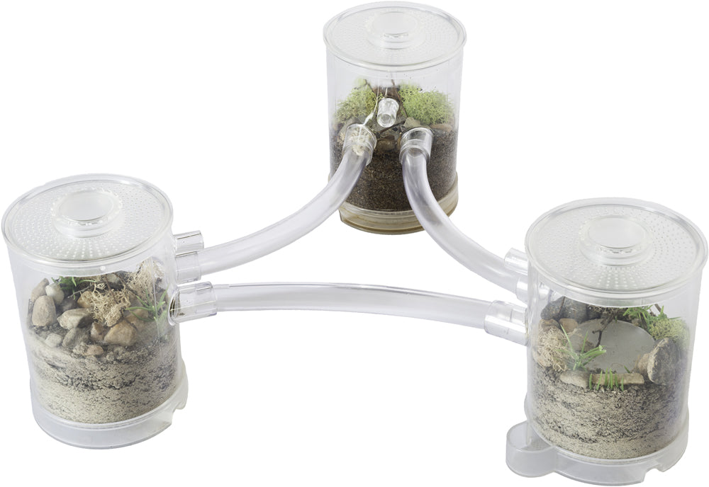Ant Tower™ Small - Image 15