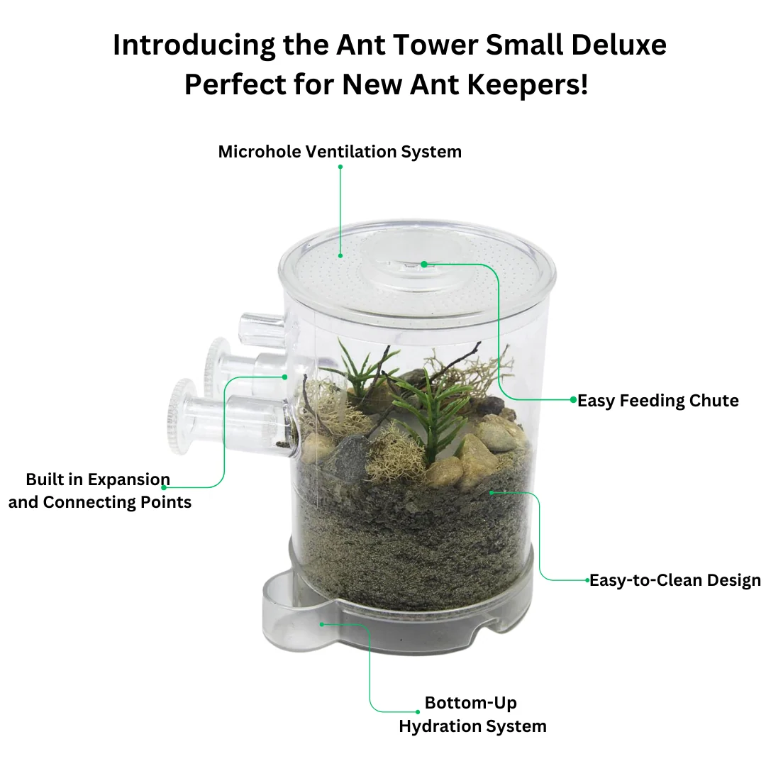 Ant Tower Small™ Deluxe - Image 3