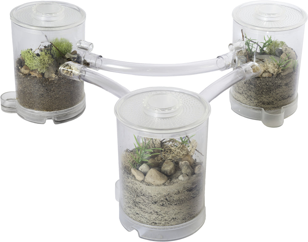 Ant Tower Small™ Deluxe - Image 6
