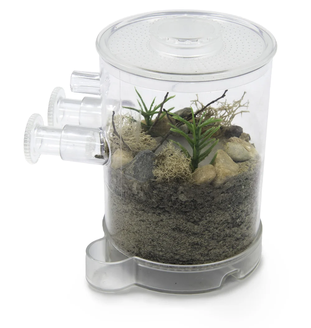 Ant Tower Small™ Deluxe - Image 9