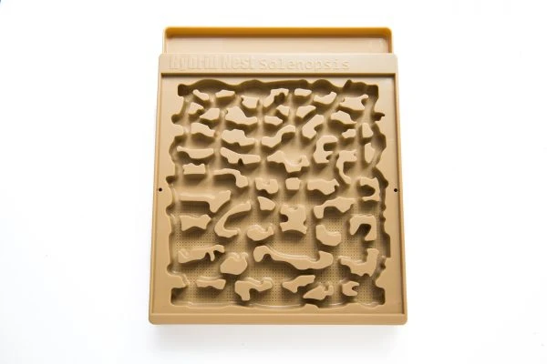Solenopsis Hybrid Nest™ 2.0 - Image 18
