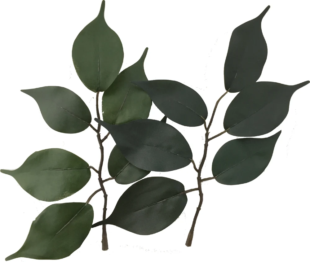 Rainforest Biome Kit™ - Image 5