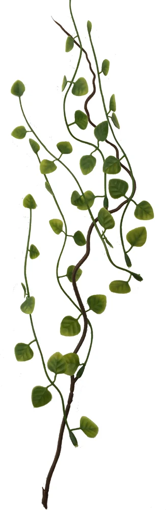 Rainforest Biome Kit™ - Image 6